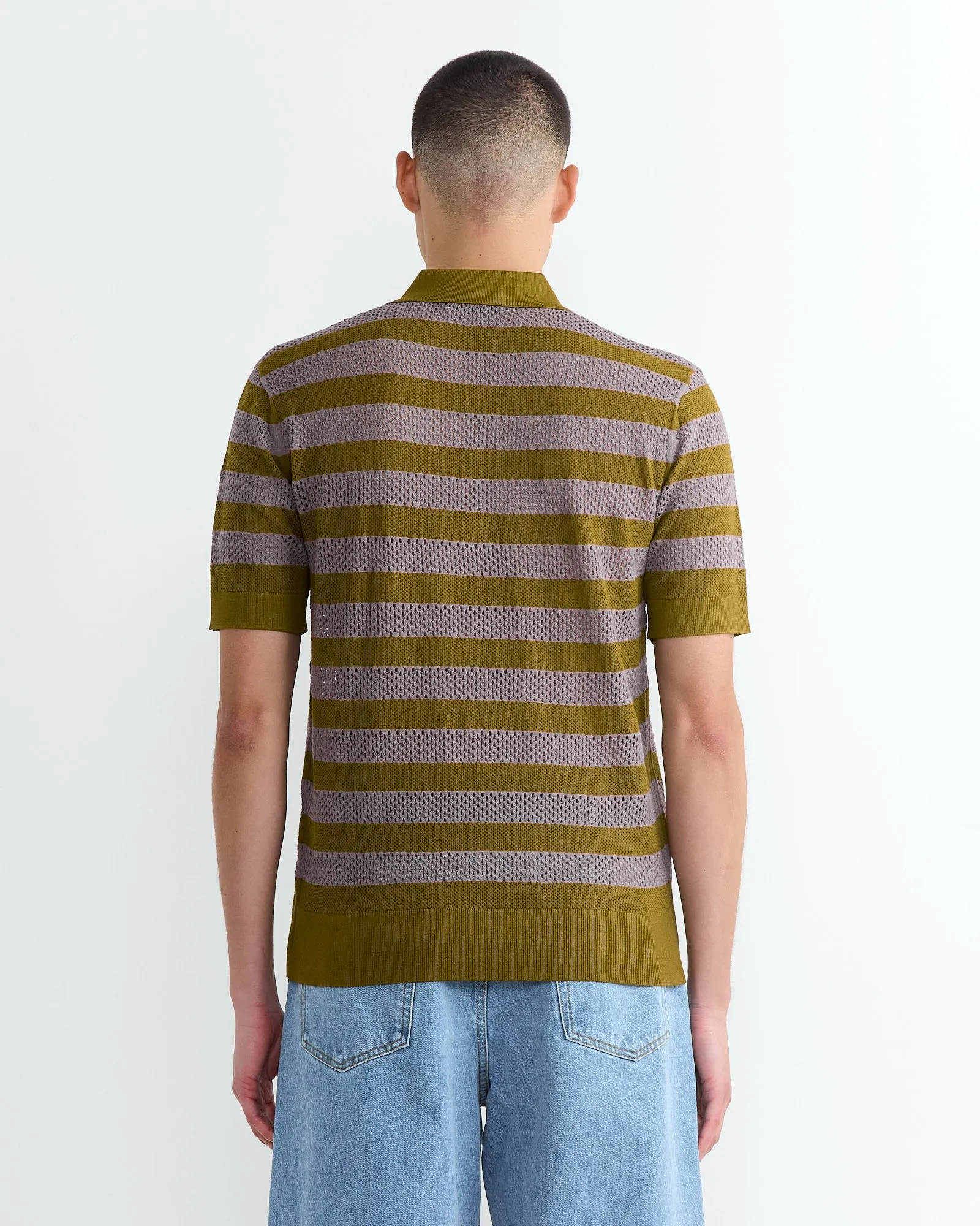 Stripe Knit Polo in Olive