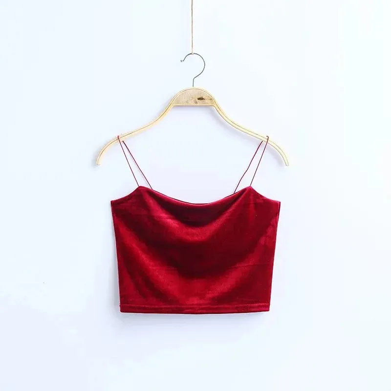 Whitney's Velvet Crop Tops